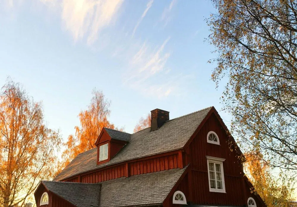 pexels-pixabay-210538